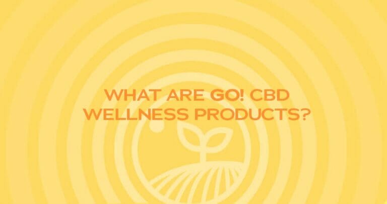 What Are GO! CBD Wellness Products? 13 GO! CBD Products Blog Graphic