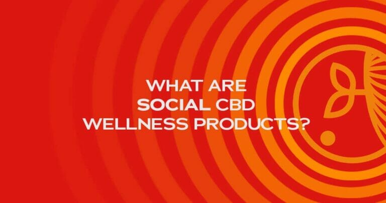 What Are SOCIAL CBD Wellness Products? 12 SOCIAL CBD Products Blog Graphic