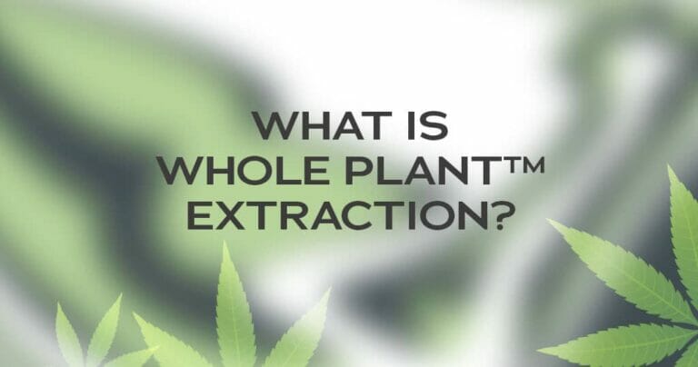 What is Whole Plant Extraction? 11 What is Whole Plant Extraction?
