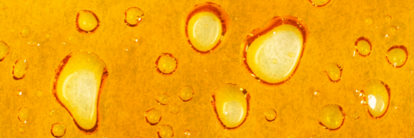 What is Whole Plant CBD Oil: The Benefits of Using the Entire Hemp Extract 2 A picture of hemp extract closeup