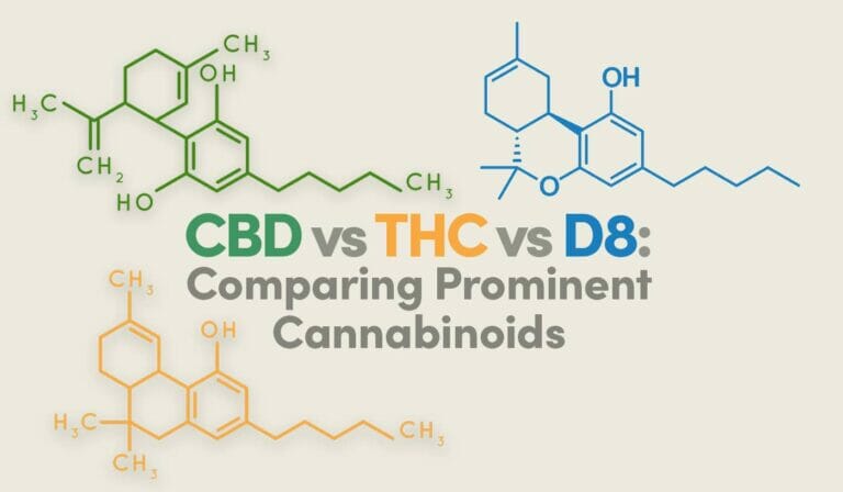 CBD vs THC vs D8: Comparing Prominent Cannabinoids 4 CBD vs THC vs D8: Comparing Prominent Cannabinoids