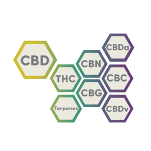 Link Tree 2 Cannabis Hemp Compounds