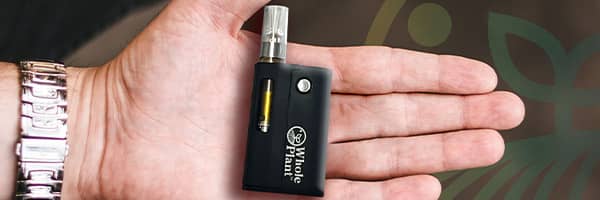 How to Properly Use A CBD Vape Pen? Guide For Beginners 2 CBD Vape Pen Cartridge and Battery by Whole Plant™ CBD